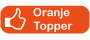 Vlaggenlijn 10 meter met 18 oranje puntvlaggen - deoranjeartikelenshop