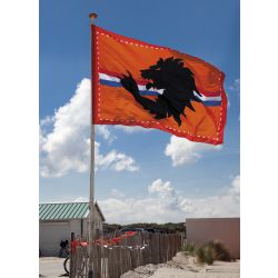 Reuze Oranje Stadionvlag Leeuw 200 x 300 cm - deoranjeartikelenshop 