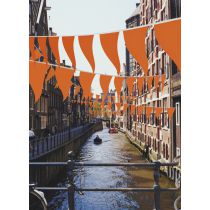 Oranje vlaggenlijn 40 meter 80 puntvlaggen - deoranjeartikelenshop